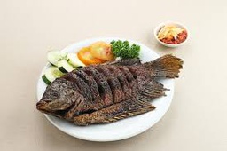 [FRD-017] Grilled Gourami